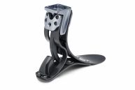 Pie Soleus